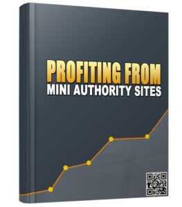 Profiting From Mini Authority Sites